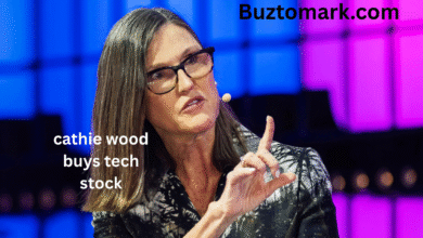 cathie wood buys tech stock