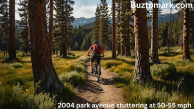 27e105 hartley loop single track trail mammoth