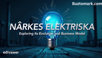 närkes elektriska
