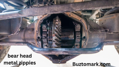 2004 park avenue stuttering at 50-55 mph