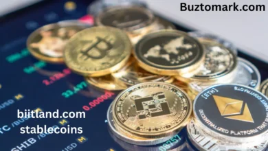 biitland.com stablecoins