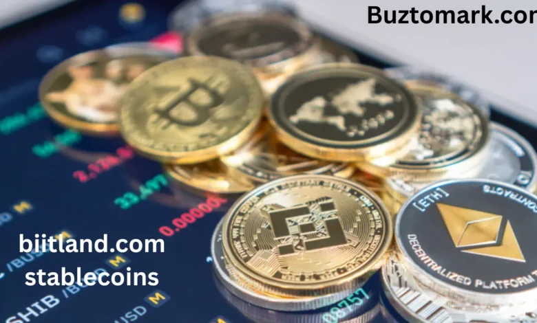 biitland.com stablecoins