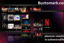 netflix premium cookies