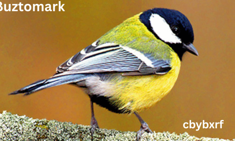 Colorful bird perched on branch