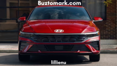 elantra n wipers hit hood