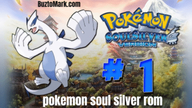 pokemon soul silver rom