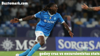 bengals vs chicago bears match player stats