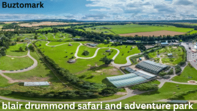 blair drummond safari and adventure park
