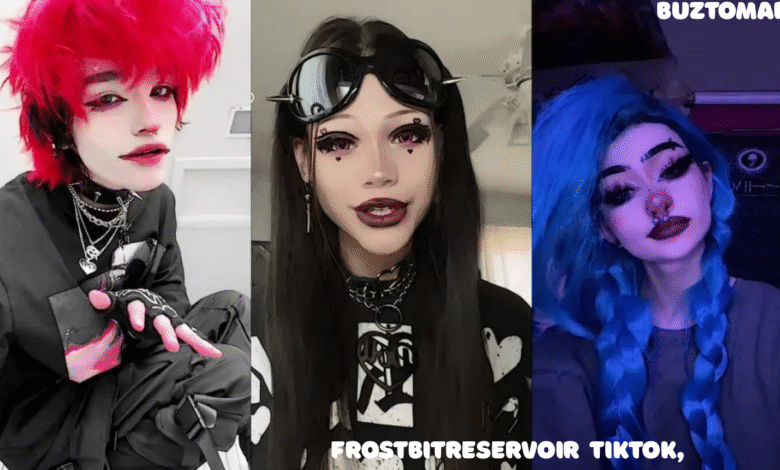 frostbitreservoir tiktok'