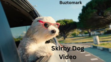 skirby dog video