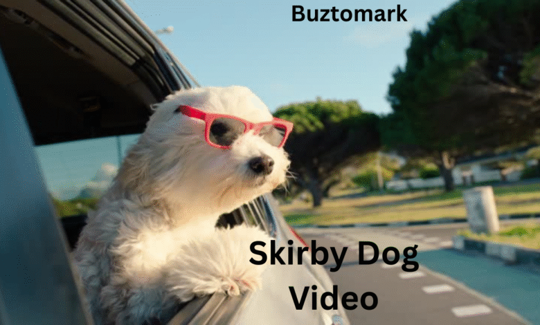skirby dog video